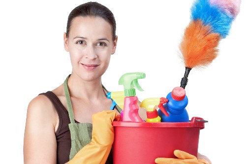 Cleaner Tufnellpark accessibility statement introduction