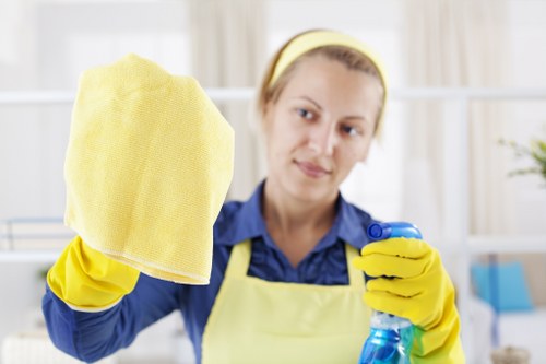 Window cleaning for Tufnellpark homes with traditional and modern glazing