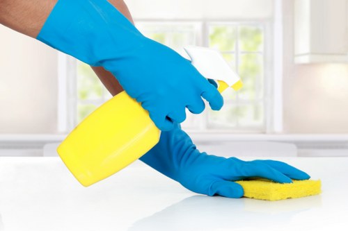 Professional upholstery cleaning service for a sofa in a Tufnellpark home