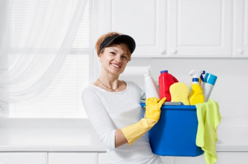 Local window cleaning service for residential and commercial properties in Tufnellpark