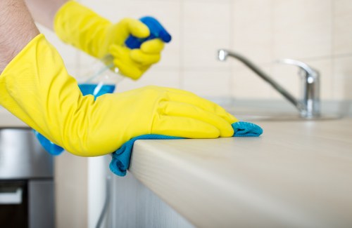 Local gutter cleaning team working near Tufnellpark