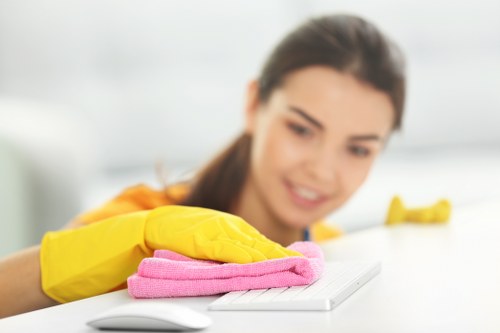 Cleaner Tufnellpark team commitment to quality and detailed cleaning standards