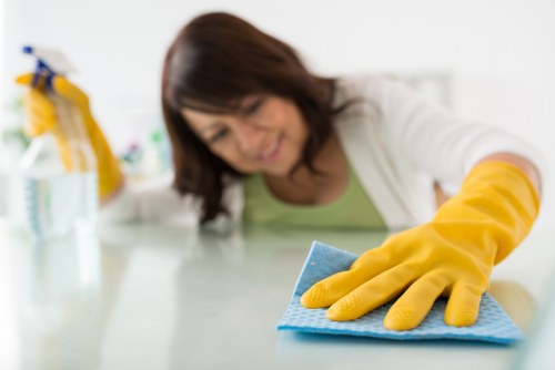 Professional Cleaner Tufnellpark service completing a safe and insured cleaning task
