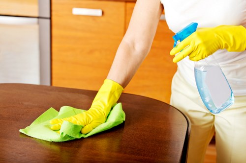 Local technician cleaning a lounge sofa in Tufnellpark